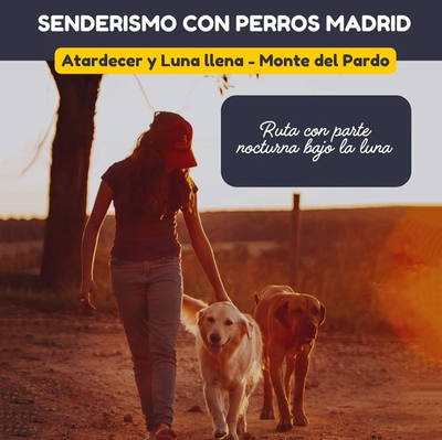 Senderismo con perros al atardecer y bajo la luna llena
