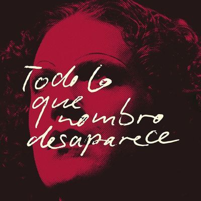 Todo lo que nombro desaparece: obra sobre la identidad