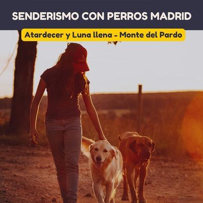 Ruta canina al atardecer y bajo la luna llena en El Pardo
