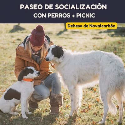 Ruta con perros + Picnic en la Dehesa de Navalcarbón