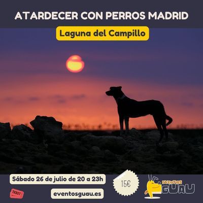 Tarde de diversión canina en la Laguna del Campillo