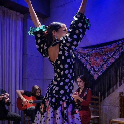 Espectáculo flamenco en vivo
