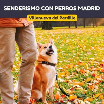 Senderismo con perros por Villanueva del Pardillo