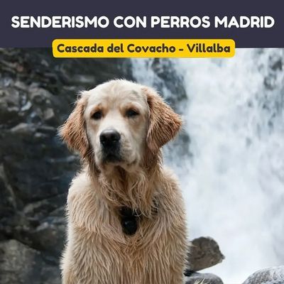 Senderismo con perro por la Cascada del Covacho (Villalba)