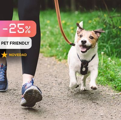 Escape room con perros en Canteras de Alpedrete