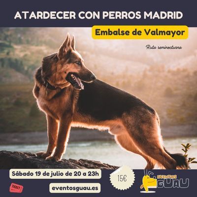 Ruta seminocturna con perros en el embalse de Valmayor