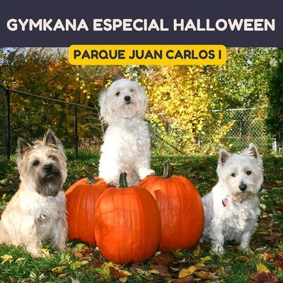 Gymkana canina especial halloween