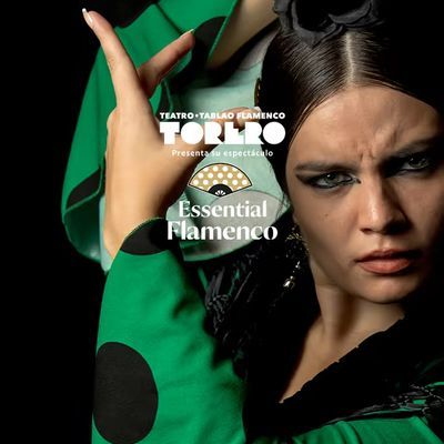 Espectáculo de flamenco en una histórica cueva