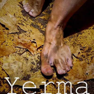 Yerma: reconocida obra de Federico García Lorca