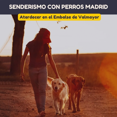 Senderismo con perros al atardecer en Valmayor: agua y estrellas