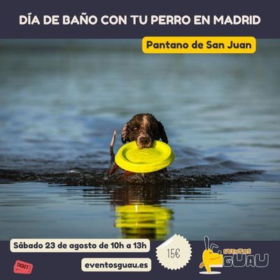 Eventos Guau: día de baño con tu perro en el pantano de San Juan