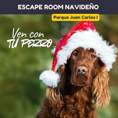 Escape Room Canino Navideño