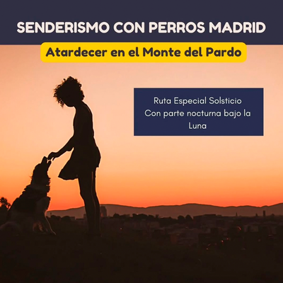 Senderismo con Perros: atardecer en el monte del Pardo