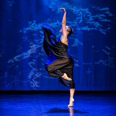 Gran gala de dansa: vetllada plena de talent