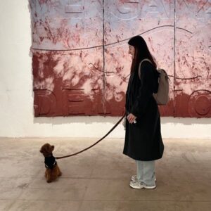 Pet Friendly