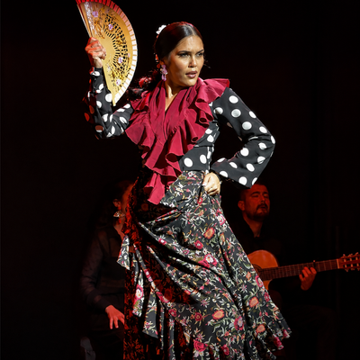 Flamenco Events: Espectáculo flamenco con 4 artistas