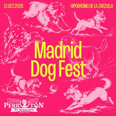 Madrid Dog Fest: actividades, música en vivo y sorpresas